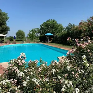 Bed & Breakfast Bordeghina In Pontecchio Polesine